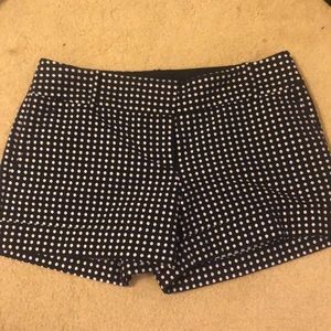 The Limited navy and white polka dot shorts